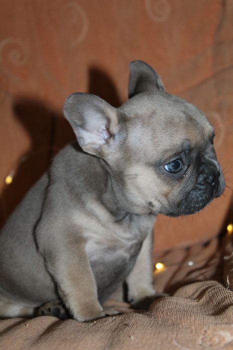 Супер генний хлопчик