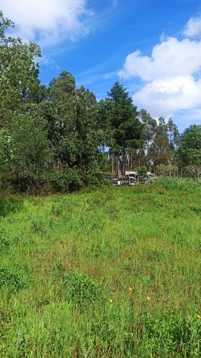 Terreno para venda / Granja do Ulmeiro