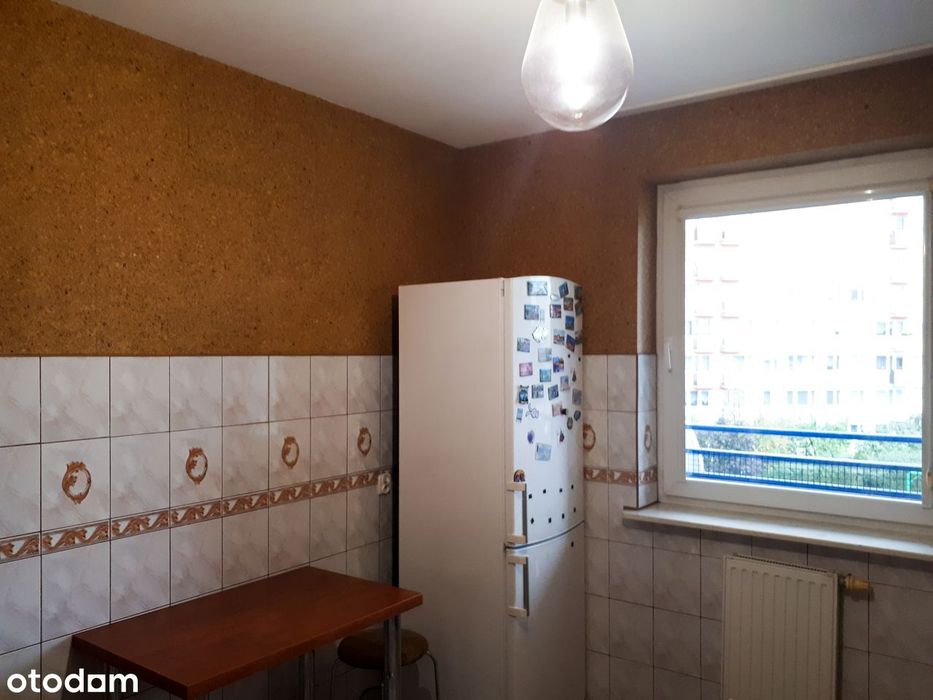 Zdjęcie 4