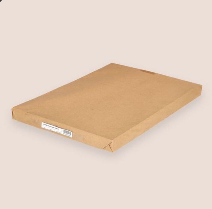 Папір-Ватман, А1, 200 Гр/М2, 100