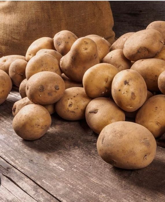 Ekologiczne ziemniaki przebierane ręcznie SORAYA