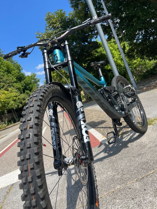 Scott gambler 910 de 2024 DH
