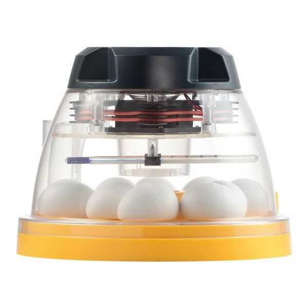 Incubadora Brinsea Mini ECO II - Chocadeira manual