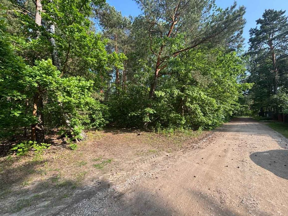 Działka leśna z warunkami zabudowy