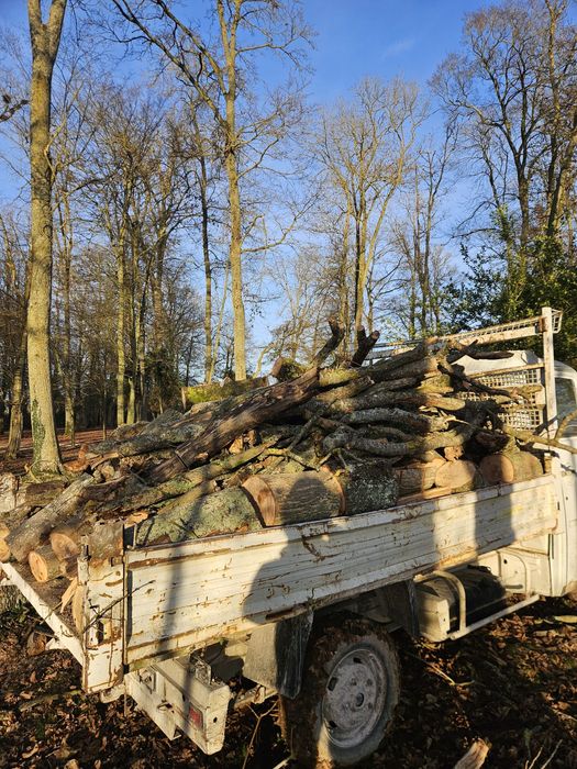 Fazemos ao preço que o cliente oferecer poda e serviços de jardinagem