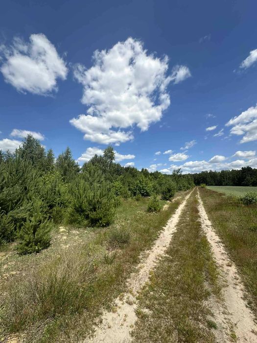 Na sprzedaż działka budowlana - Widok 3