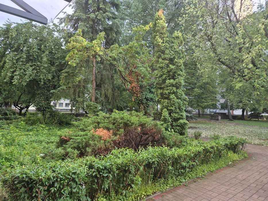 Kawalerka na wynajem Śródmieście/ Muranów/Nowe Miasto