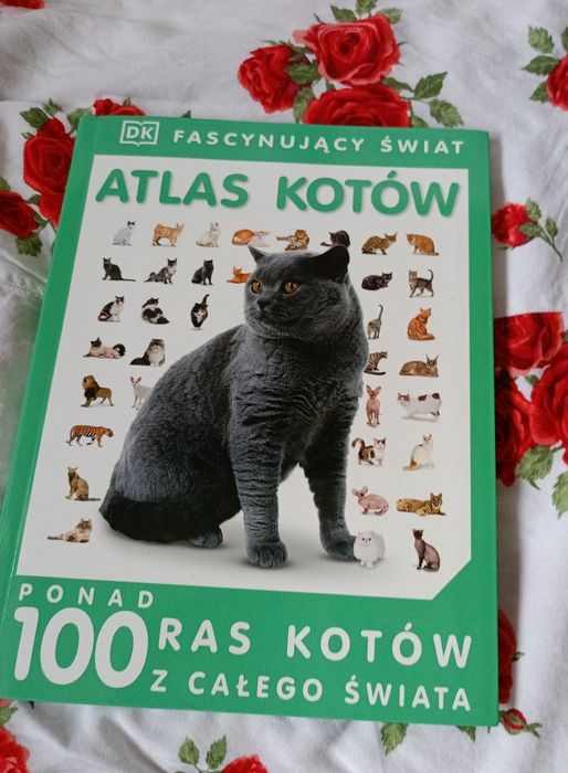 Książka o kotach