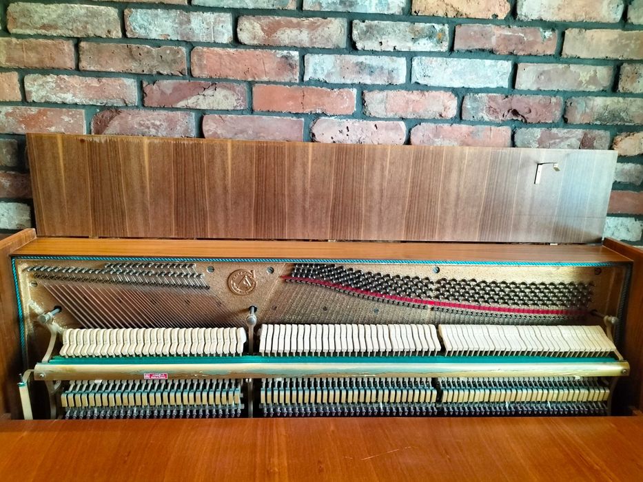 Pianino Calisia Tonika M105