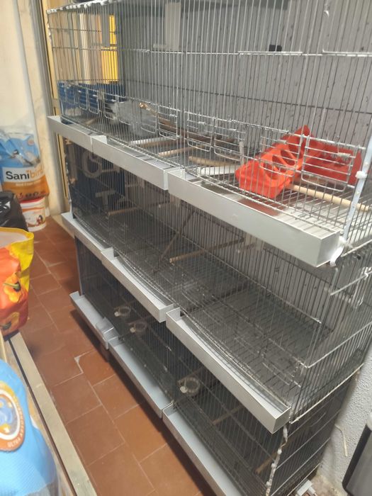 Gaiolas de 1.20 para venda Preço é das 3