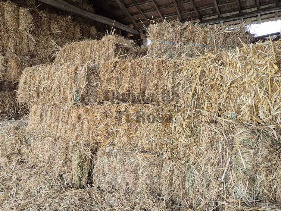 Fardos / Palha / Feno  2025