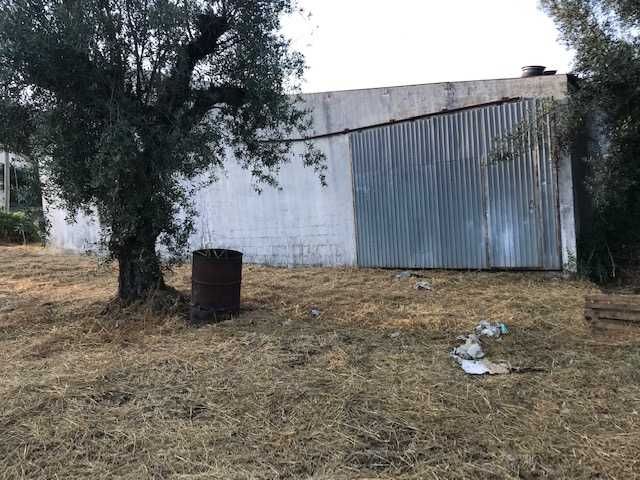 Armazém /Oficina com terreno