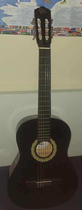 Vendo viola com capa