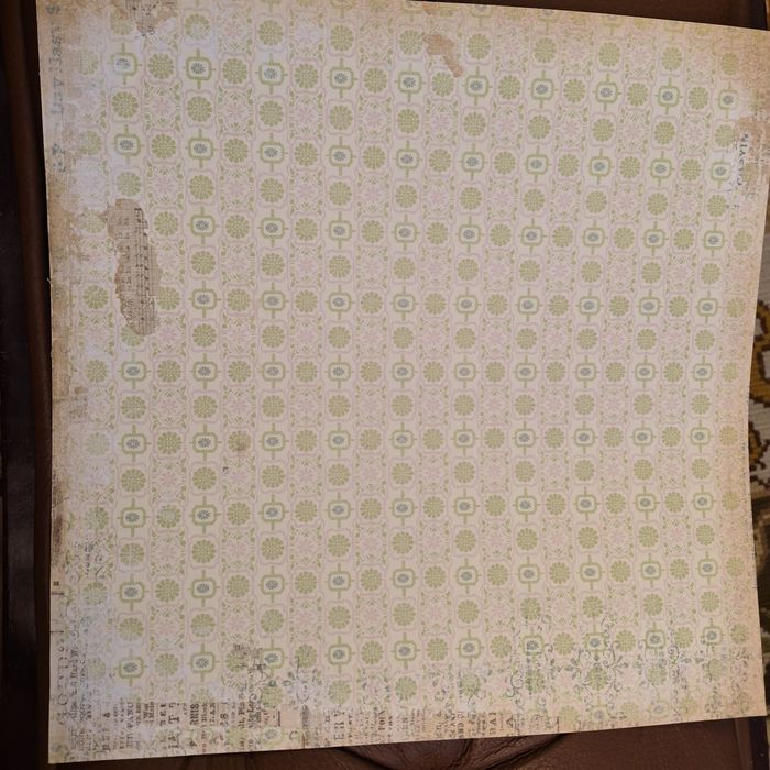 Scrapbook Papel 30x30 t9