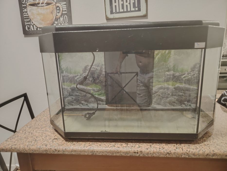 Aquário panorâmico