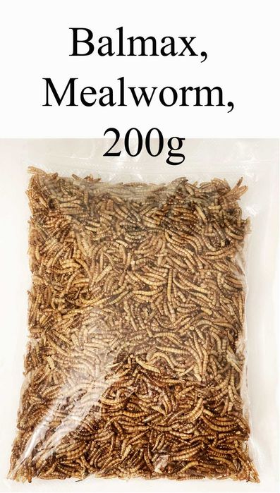 Balmax, Suszone larwy mącznika / mącznik / Mealworm /  200g