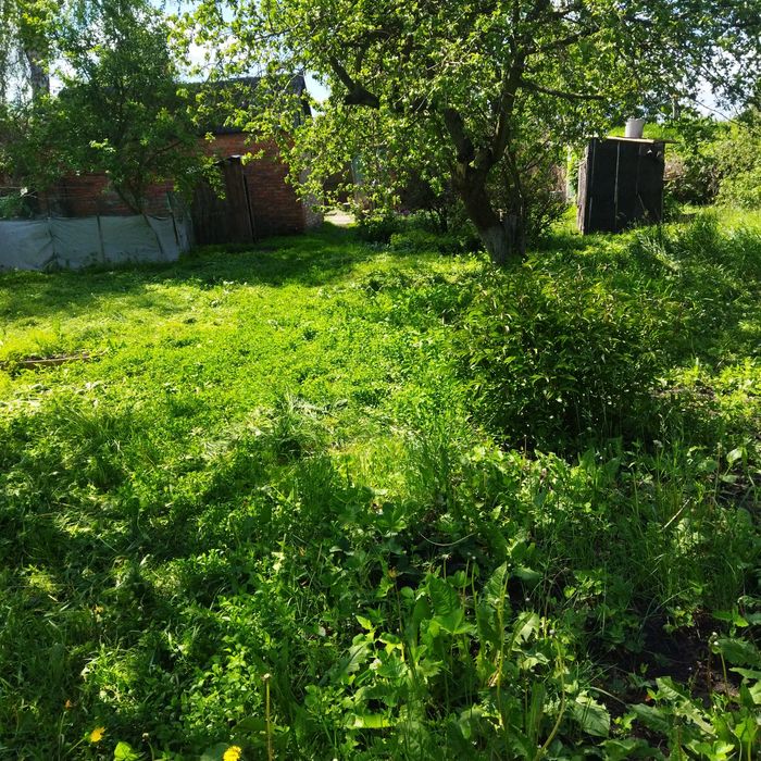 Продам Будинок с.Литвинове