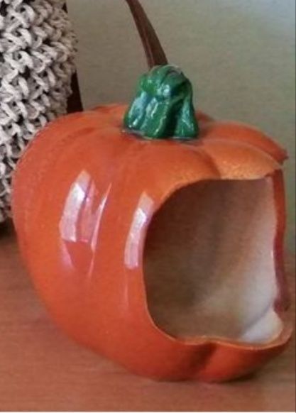 Аксессуары для грызунов