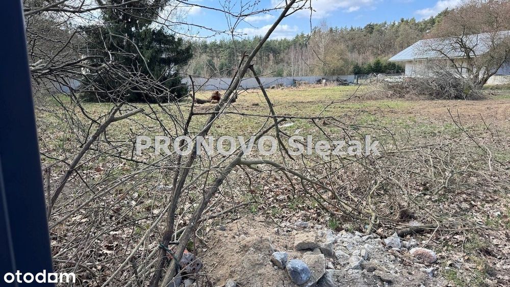 Jary 35a działka budowlana w otoczeniu lasów