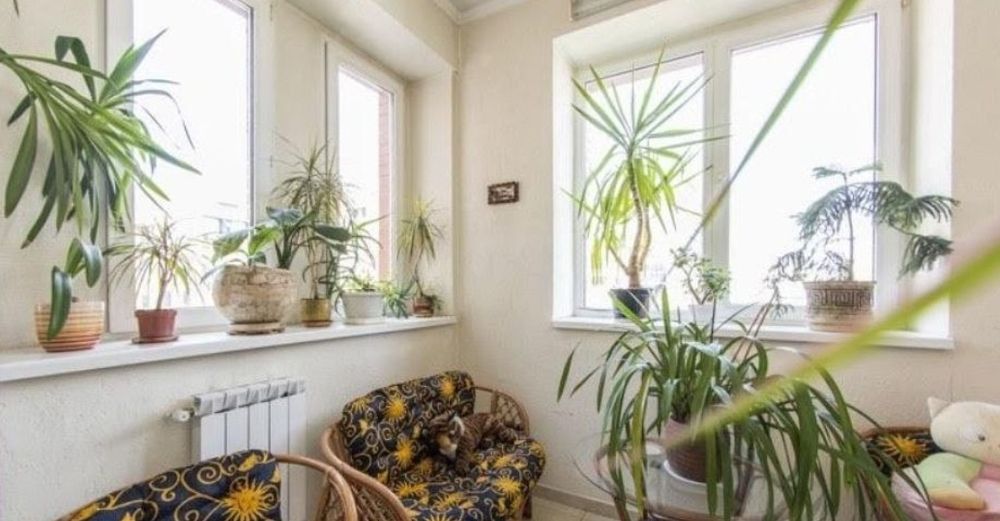 Квартира, центр, Печерськ, Веденський,ріелторкиїв,#відвласника,центр