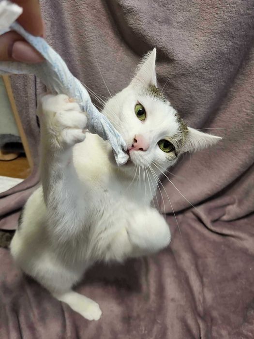 Lenka szuka swojego człowieka