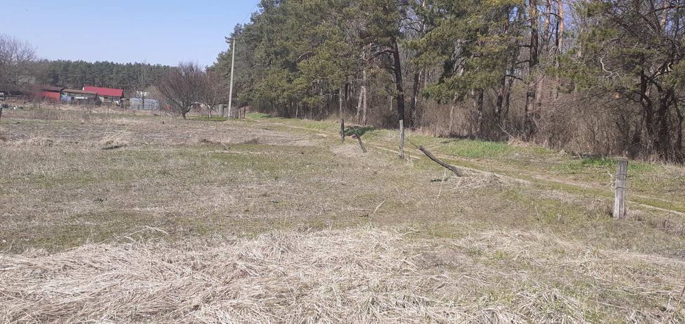 Земельна Ділянка