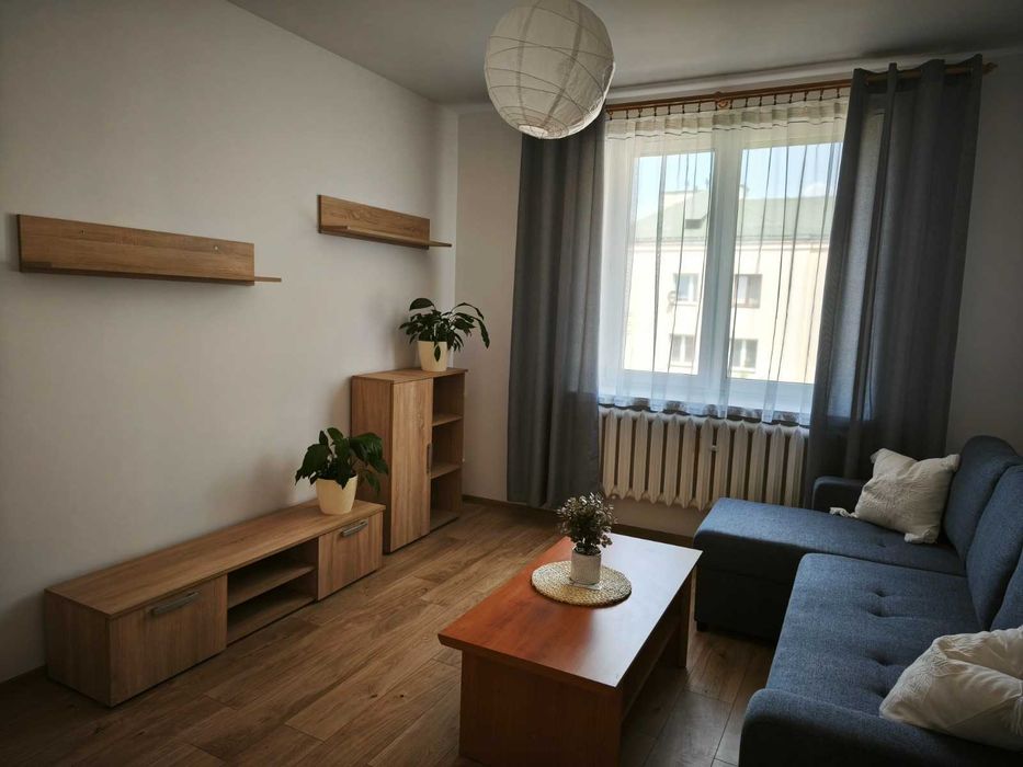 Kawalerka do wynajęcia, Gołonóg