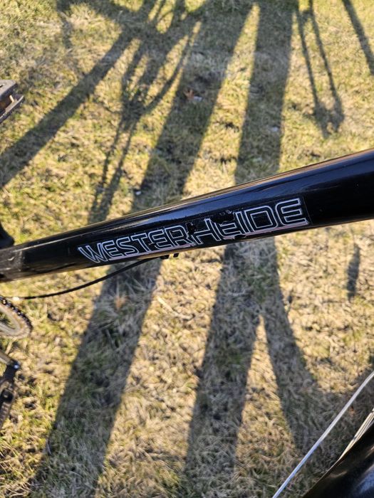 Męski rower Westerheide