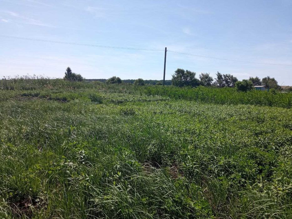 Продаж ділянки для душі поблизу села Гамаліївка!