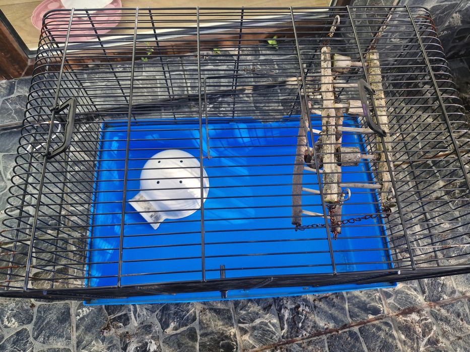 Klatka dla gryzoni z wyposażeniem