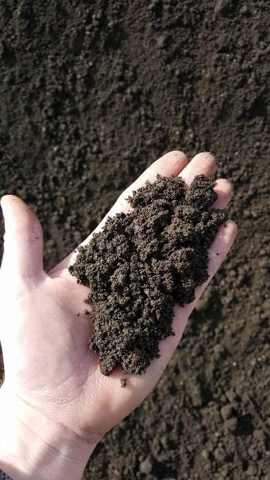 Ziemia ogrodowa pod trawnik przesiewana bez zanieczyszczeń