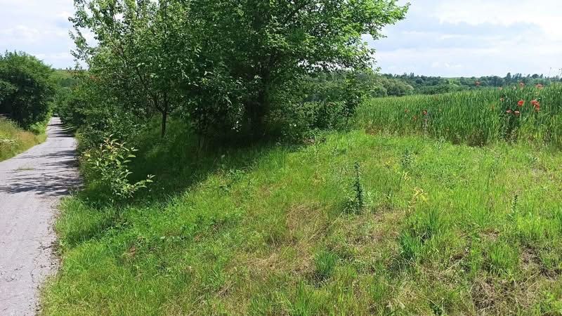 Продам земельну ділянку с.Черкас