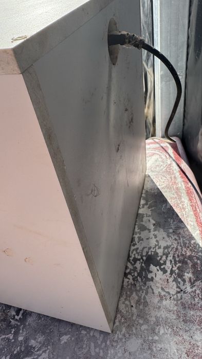 Maternidade para passaros