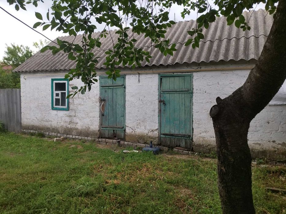 Будинок в силі в Харківській області