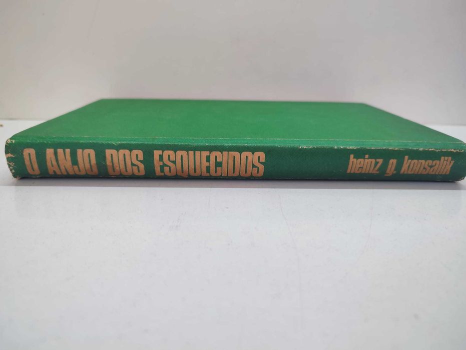 Livro - O Anjo dos Esquecidos