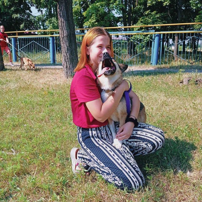 Кінолог, зоопсихолог, перетримка, дресирування собак, вигул