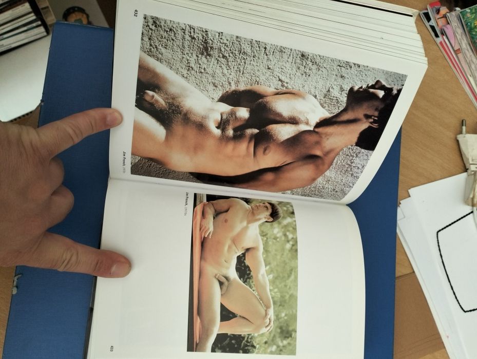 The Male Nude de David Leddick,