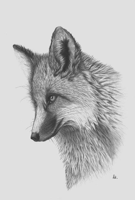 Obraz Lis w formacie A3