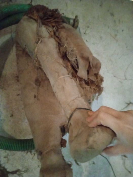 Colar/brunil/molim burro para restauro