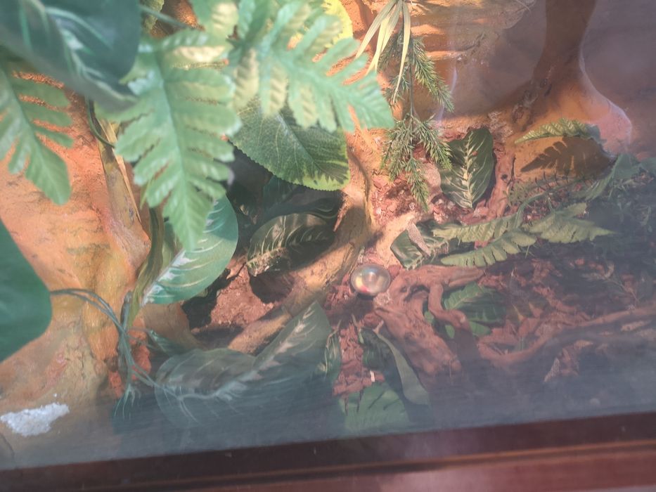 Terrarium