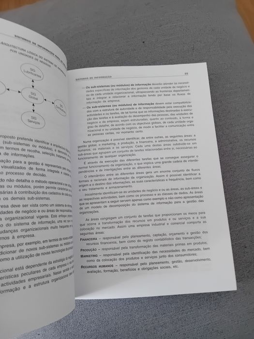 Sistemas de Informação para as Organizações  - José Rascão