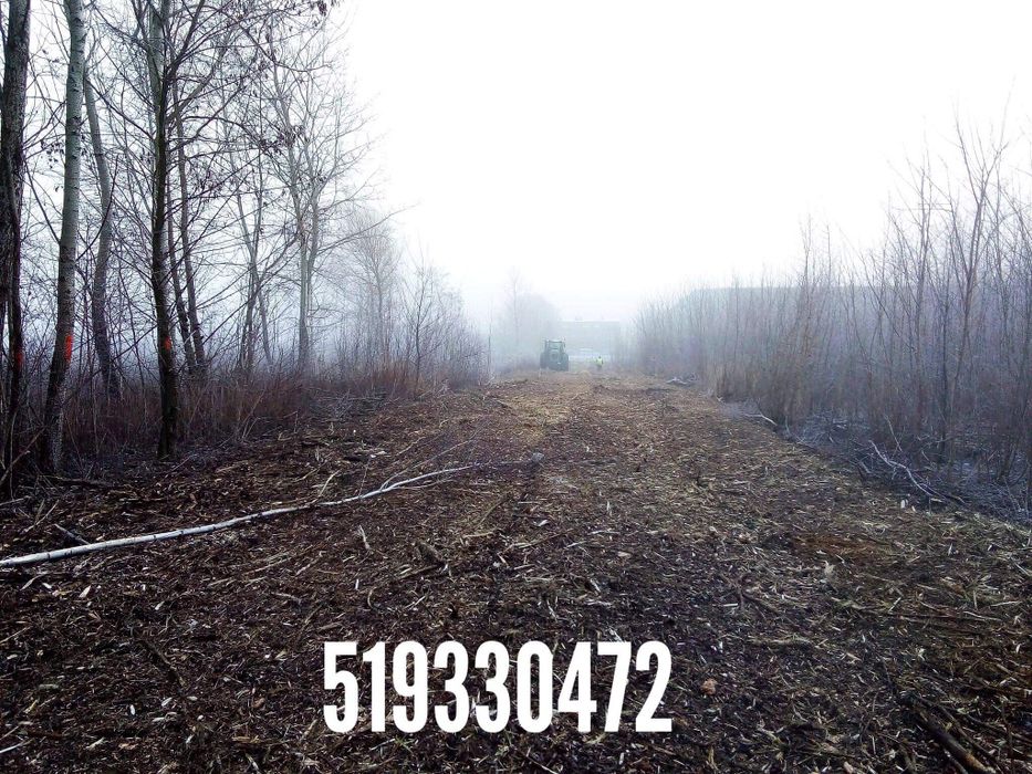 Mulczer lesny mulczowanie drzew czyszczenie dzialek terenu wycinka