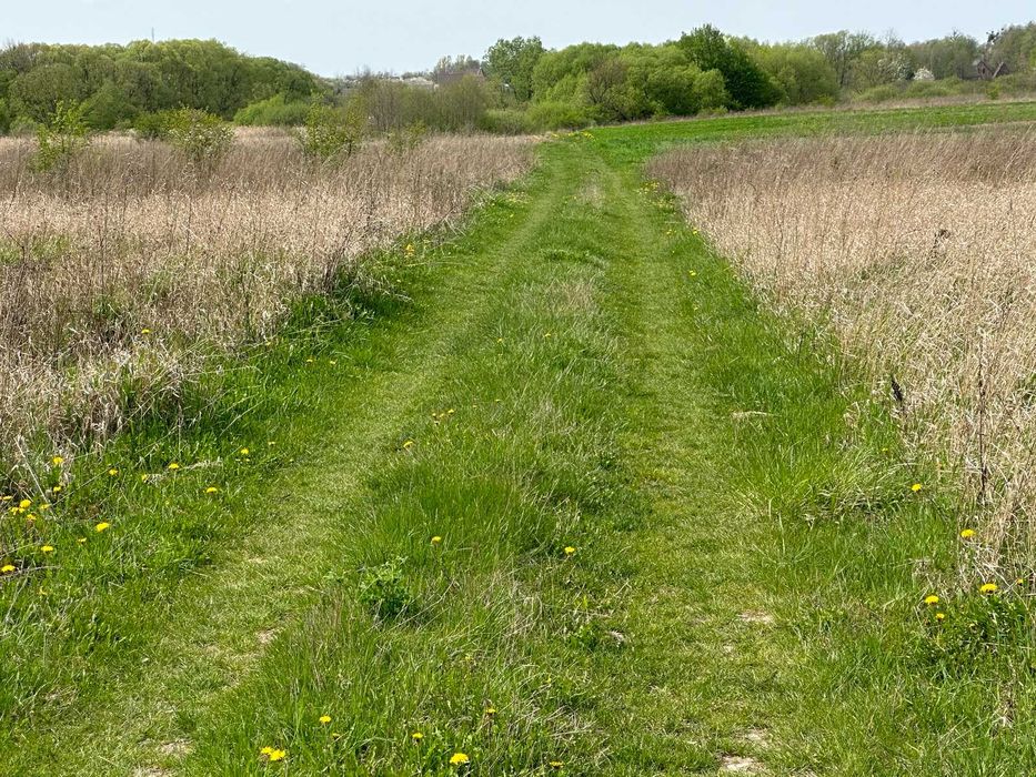 Продам фасадну ділянку в Ксаверівці