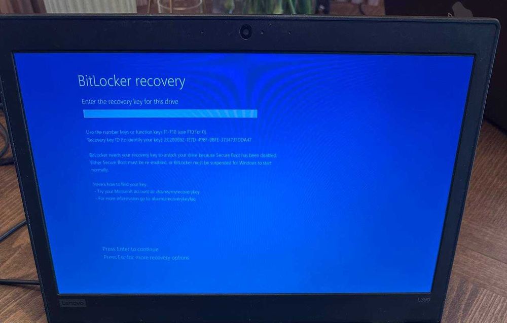 Lenovo ThinkPad L390 13,3-inch (2019) - Core i5 - 16GB SSD - 256 GB