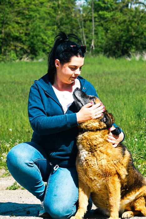 DIMI - średniej wielkosci psiak szuka domu