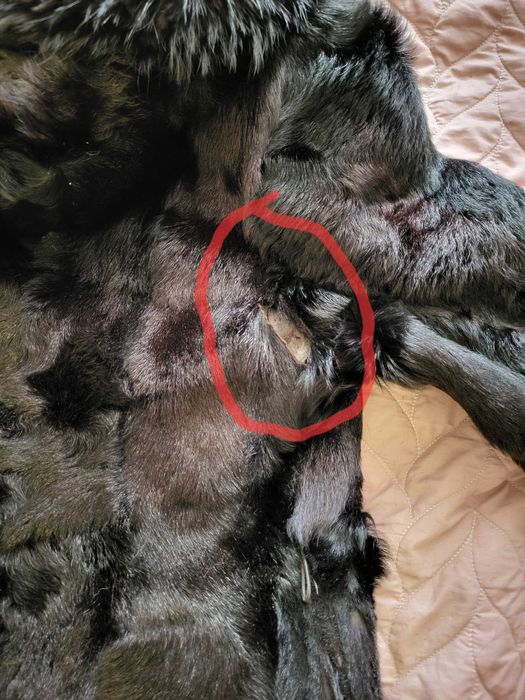 Продаю шуби, р. 48-50