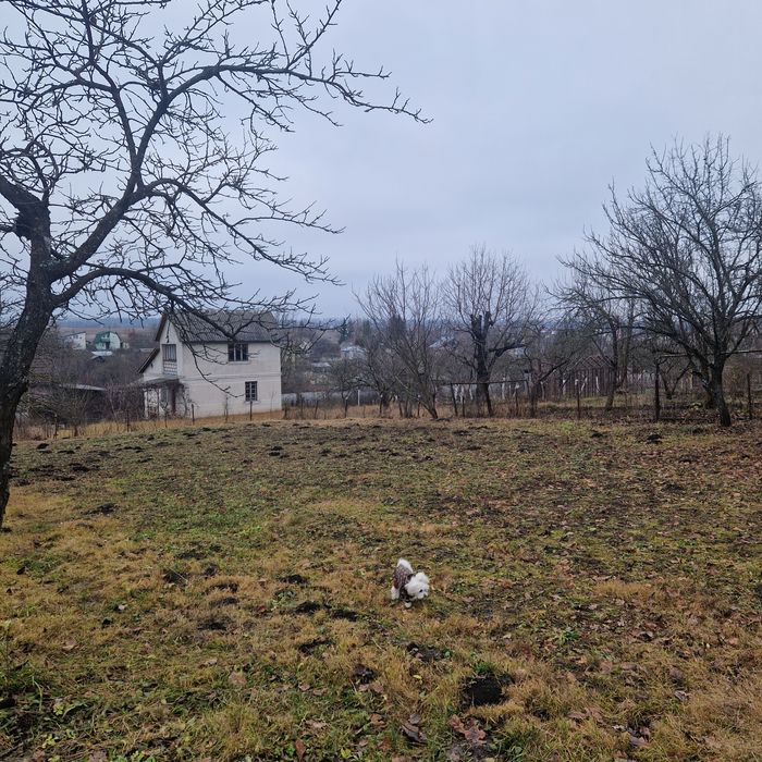 Продам дачу в с. Підгородне, 6 сотих — поруч ліс
Пропону