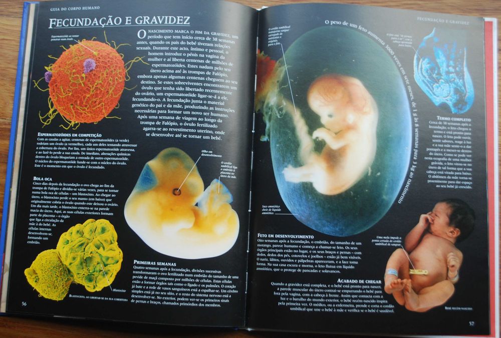 Guia do Corpo Humano (Uma Viagem Fotográfica Através do Corpo Humano)