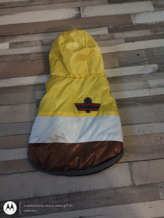 Kurtka z kapturem dla małego psa