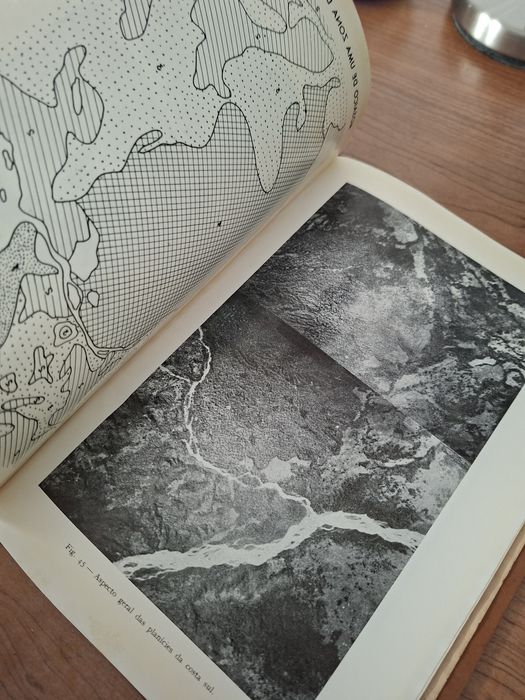 As Florestas de Timor por Ruy Cinatti